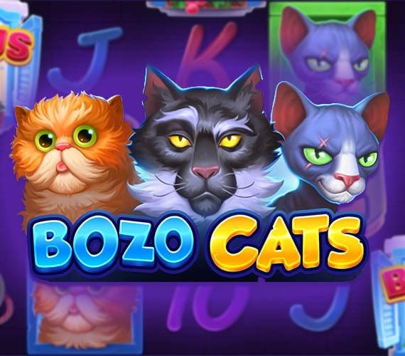 Bozo Cats