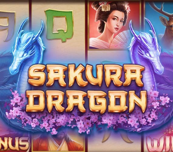 Sakura Dragon